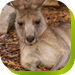  Nambucca Heads Accommodation