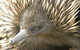 Dundee's Wildlife Park - thumb 3