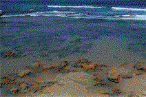 Braddon ACT Nambucca Heads Accommodation