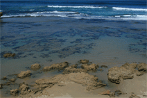 Canberra Contemporary Art Space - Nambucca Heads Accommodation