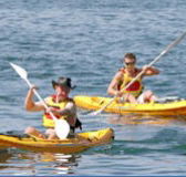 Manly Kayaks - Nambucca Heads Accommodation