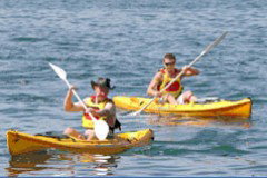 Manly Kayaks - Nambucca Heads Accommodation 0