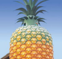 The Big Pineapple - Nambucca Heads Accommodation