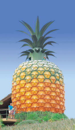 The Big Pineapple - Nambucca Heads Accommodation 0