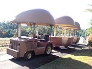 The Big Pineapple - Nambucca Heads Accommodation 2