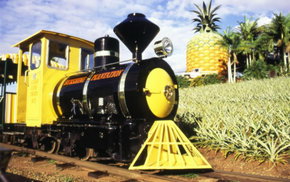 The Big Pineapple - Nambucca Heads Accommodation 3