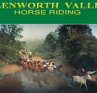 Glenworth Valley Horseriding - Nambucca Heads Accommodation
