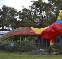 Gumbuya Park - Nambucca Heads Accommodation