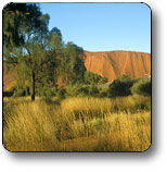  Nambucca Heads Accommodation
