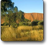 Uluru - Kata Tjuta National Park - Nambucca Heads Accommodation
