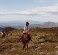 High Country Horses - Nambucca Heads Accommodation
