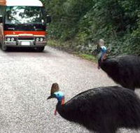 Kookaburra Tours - Nambucca Heads Accommodation