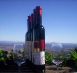 Mount Tamborine Winery  Homestead - Nambucca Heads Accommodation