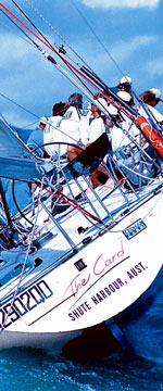 Koala Adventures - Nambucca Heads Accommodation 1