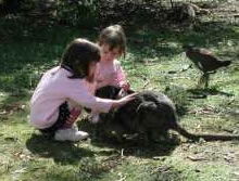 Urimbirra Wildlife Park - Nambucca Heads Accommodation 1