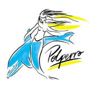 Polperro Dolphin Swims - Nambucca Heads Accommodation
