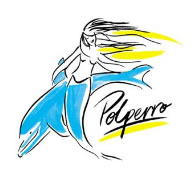 Polperro Dolphin Swims - Nambucca Heads Accommodation 0