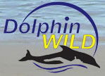 Dolphin Wild - Nambucca Heads Accommodation 0