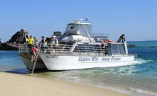 Dolphin Wild - Nambucca Heads Accommodation 2