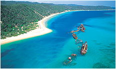 Dolphin Wild - Nambucca Heads Accommodation 3