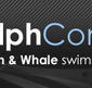 Dolphcom - Dolphin  Whale Swimming Adventures - Nambucca Heads Accommodation