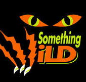 Something Wild - Nambucca Heads Accommodation