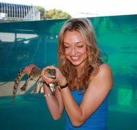 Crocosaurus Cove - Nambucca Heads Accommodation