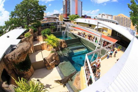 Crocosaurus Cove - Nambucca Heads Accommodation 1