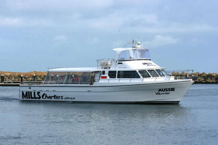 Mills Charters Fishing And Whale Watch Cruises - Nambucca Heads Accommodation 1