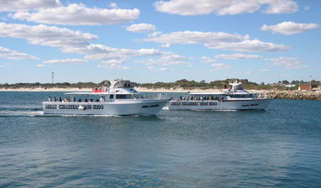Mills Charters Fishing And Whale Watch Cruises - Nambucca Heads Accommodation 2