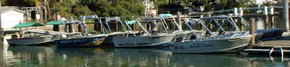 Brooklyn Central Boat Hire & General Store - Nambucca Heads Accommodation 1