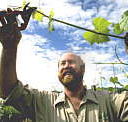 Barossa Experience Tours - Nambucca Heads Accommodation