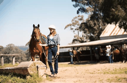 Watsons Trail Rides - Nambucca Heads Accommodation