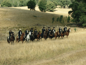 McCormacks Mountain Valley Trail Rides - Nambucca Heads Accommodation