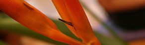 Darlinghurst NSW Nambucca Heads Accommodation
