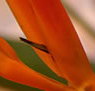 Zen Day Spa - Nambucca Heads Accommodation
