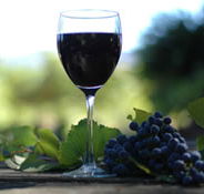 Lion Mill Vineyards - Nambucca Heads Accommodation