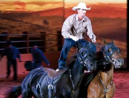Australian Outback Spectacular - Nambucca Heads Accommodation 1