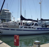 Coral Sea Dreaming Dive and Sail - Nambucca Heads Accommodation