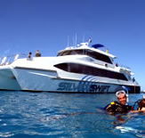 Silver Swift - Nambucca Heads Accommodation