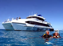 Silver Swift - Nambucca Heads Accommodation 0