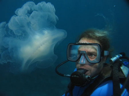 Silver Swift - Nambucca Heads Accommodation 2