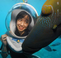 Sunlover Reef Cruises - Nambucca Heads Accommodation