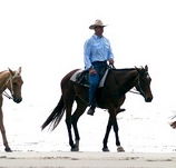 Ride the Beach - Nambucca Heads Accommodation