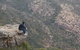 Bunyip Tours - thumb 1