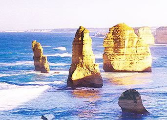 Bunyip Tours - Nambucca Heads Accommodation 3
