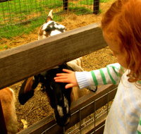 Collingwood Children's Farm - Nambucca Heads Accommodation