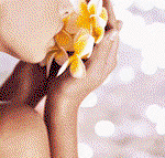 Tranquillity Spa  Beauty - Nambucca Heads Accommodation