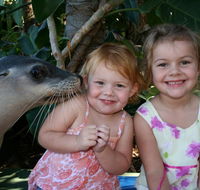 Dolphin Marine Magic