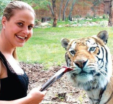 National Zoo & Aquarium - Nambucca Heads Accommodation 4